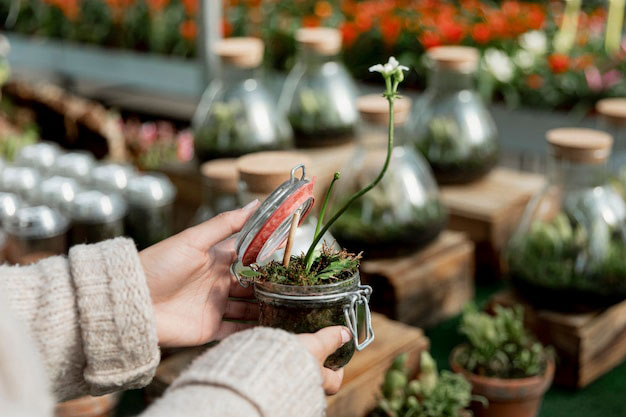 Terrarium Making Singapore